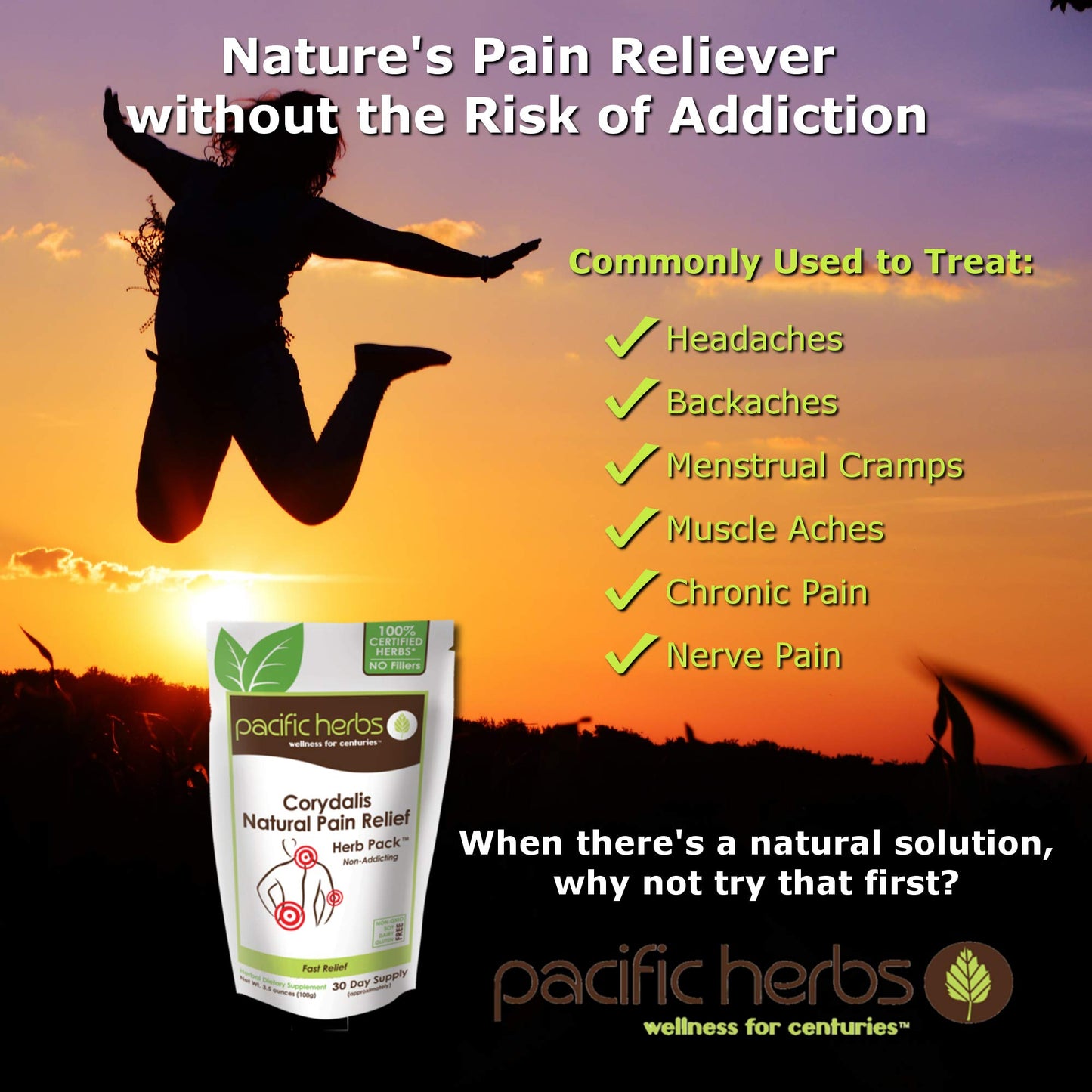 Pacific Herbs Corydalis Natural Pain Relief Herbs - dailyvitalstore