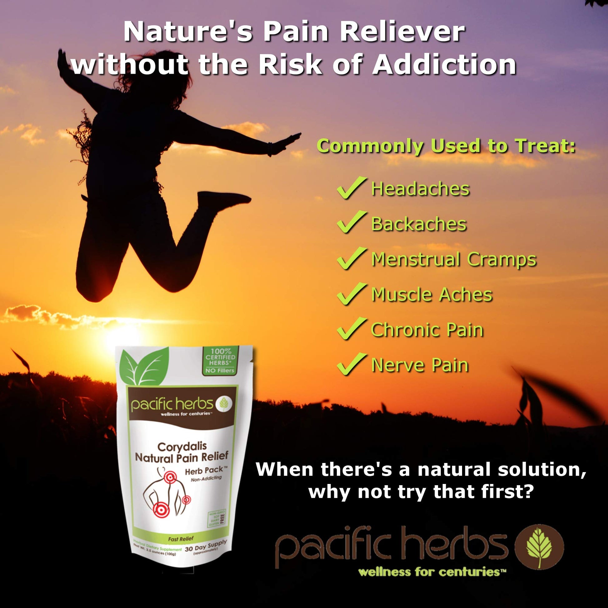 Pacific Herbs Corydalis Natural Pain Relief Herbs - dailyvitalstore