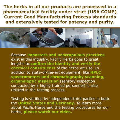 Pacific Herbs Corydalis Natural Pain Relief Herbs - dailyvitalstore