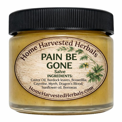 Pain Relief Herbal Salve – 2 oz – Home Harvested Herbals – Natural Relief for Aches, Muscles & Joint Discomfort - dailyvitalstore
