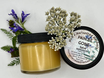 Pain Relief Herbal Salve – 2 oz – Home Harvested Herbals – Natural Relief for Aches, Muscles & Joint Discomfort - dailyvitalstore