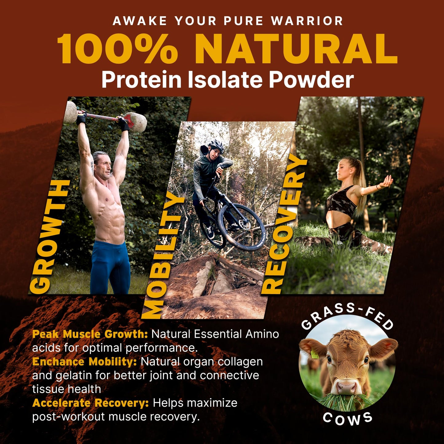 Paleo Pro 26G Beef Protein Powder - Grass Fed Protein Powder Isolate - Pure Animal Based Pastured & Cage-Free | Dairy & Gluten Free, Natural & Clean Proteins for Paleo & Keto - 15 Days Supply Vanilla - dailyvitalstore