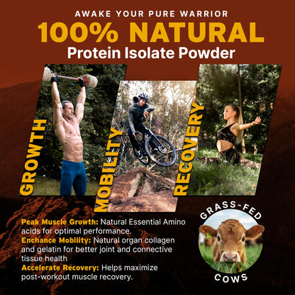 Paleo Pro 26G Beef Protein Powder - Grass Fed Protein Powder Isolate - Pure Animal Based Pastured & Cage-Free | Dairy & Gluten Free, Natural & Clean Proteins for Paleo & Keto - 15 Days Supply Vanilla - dailyvitalstore