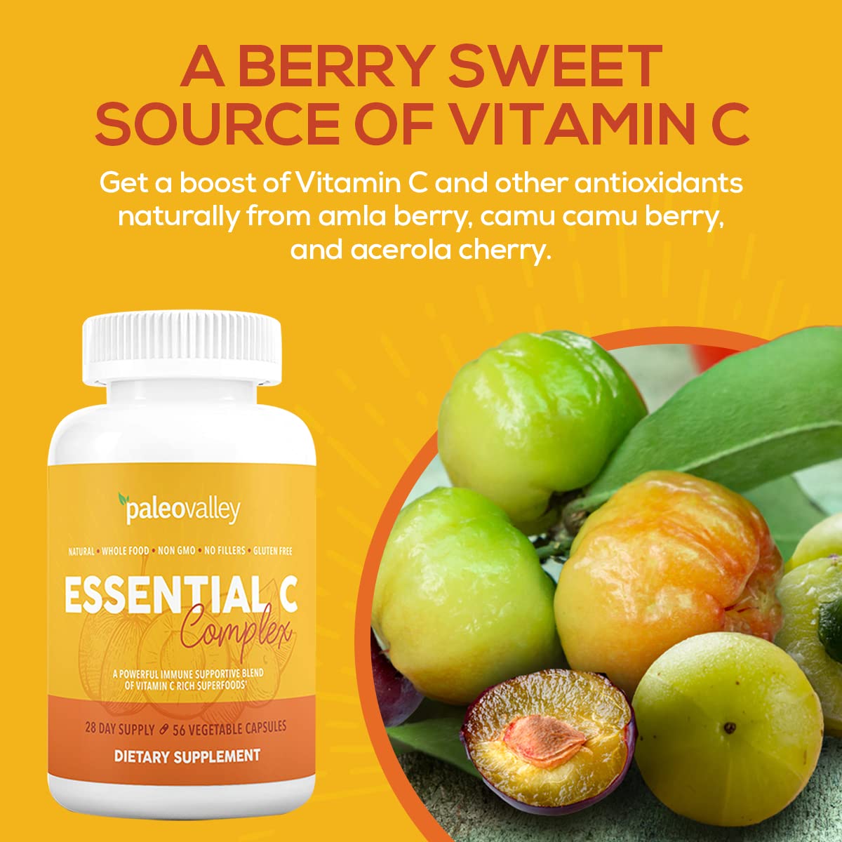 Paleovalley Essential C Complex - Vitamin C Supplement for Immune Support - 1 Pack, 450mg - Organic Superfoods Unripe Acerola Cherry, Camu Camu, Amla Berry - dailyvitalstore