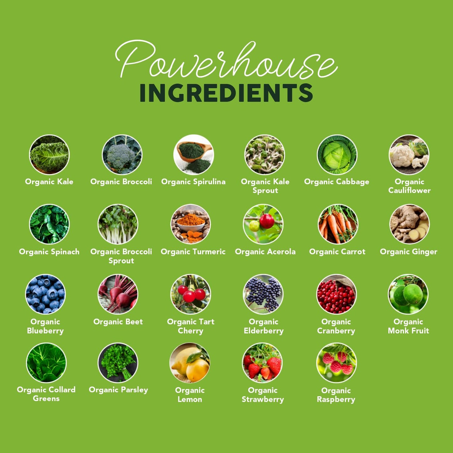 Paleovalley Organic Supergreens Powder - 23 Superfoods with Prebiotic Fiber for Energy and Immunity Support - No Cereal Grasses for Maximum Absorption - Pure Unflavored, 30 Servings - dailyvitalstore