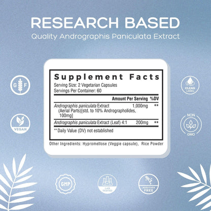 Palmara Health Premium Andrographis Paniculata Extract 1,200mg with 100mg Andrographolides Vegan Capsules for Immune & Digestive Support, Non-GMO, Gluten Free, Herbal Dietary Supplement - dailyvitalstore