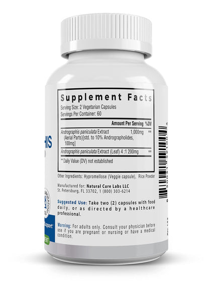 Palmara Health Premium Andrographis Paniculata Extract 1,200mg with 100mg Andrographolides Vegan Capsules for Immune & Digestive Support, Non-GMO, Gluten Free, Herbal Dietary Supplement - dailyvitalstore