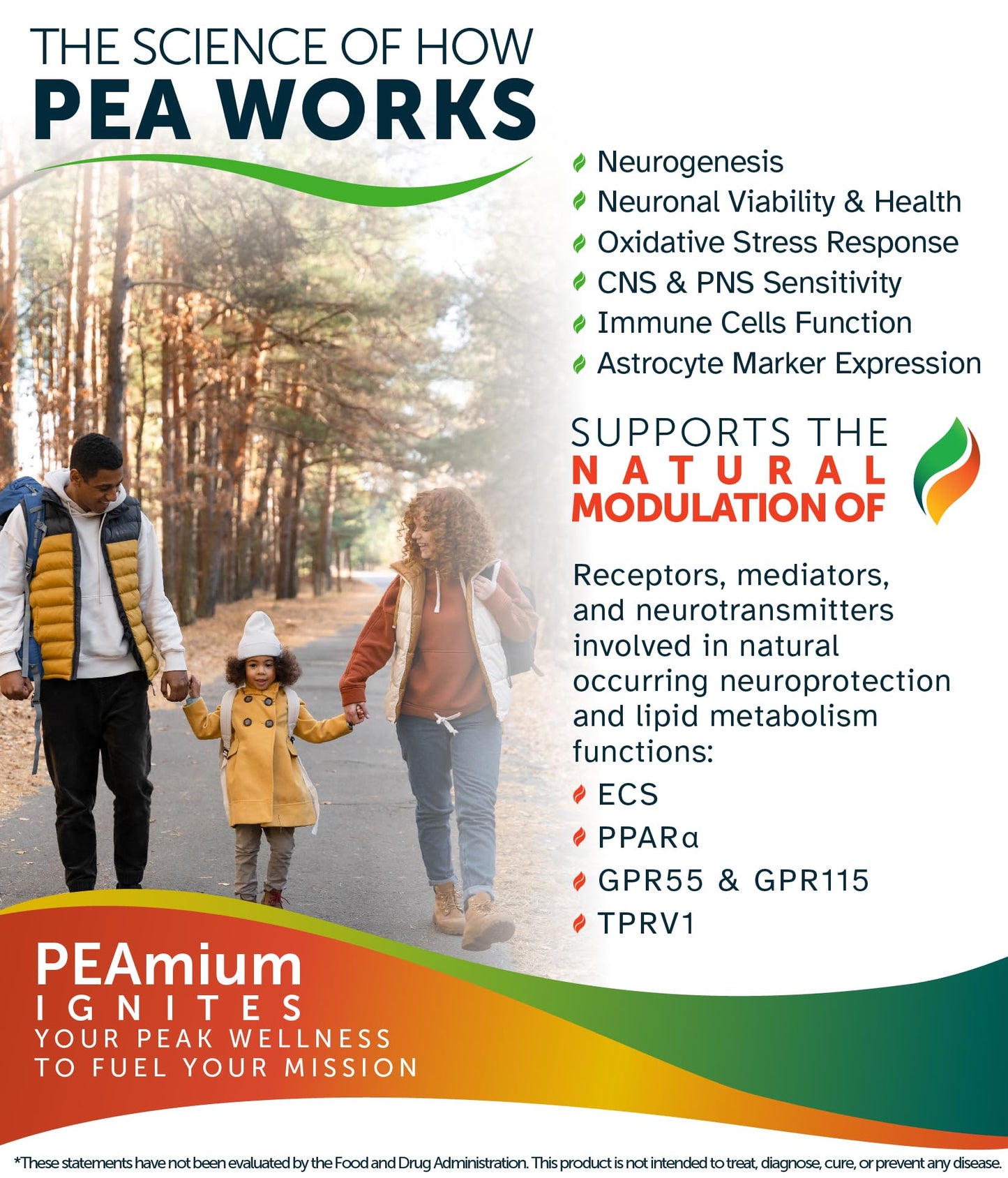 Palmitoylethanolamide 450mg Comfort Mobility Nerves Cognitive & Immune Support - Micronized High Absorption - All Natural Pea - USA Made - No Additives or Excipients – 60 Vegan Capsules Supplement - dailyvitalstore
