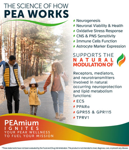 Palmitoylethanolamide 450mg Comfort Mobility Nerves Cognitive & Immune Support - Micronized High Absorption - All Natural Pea - USA Made - No Additives or Excipients – 60 Vegan Capsules Supplement - dailyvitalstore
