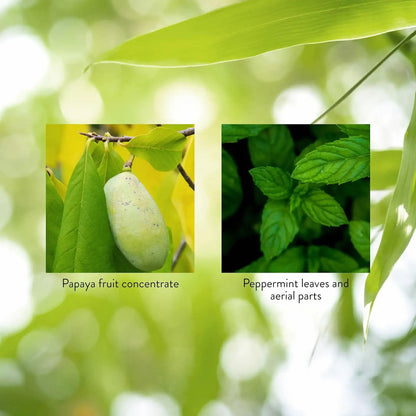 Papaya & Peppermint by Nature's Sunshine - dailyvitalstore