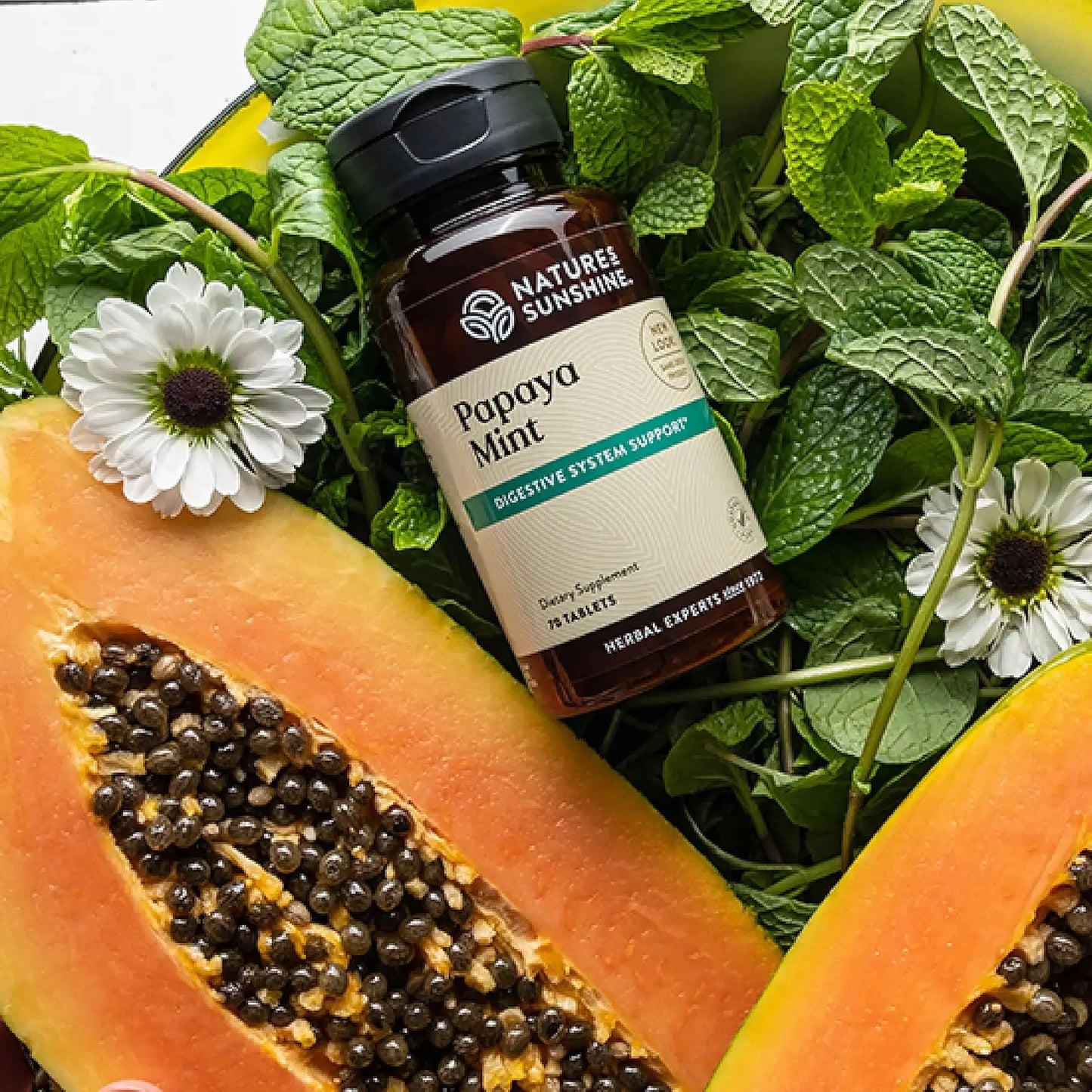 Papaya & Peppermint by Nature's Sunshine - dailyvitalstore