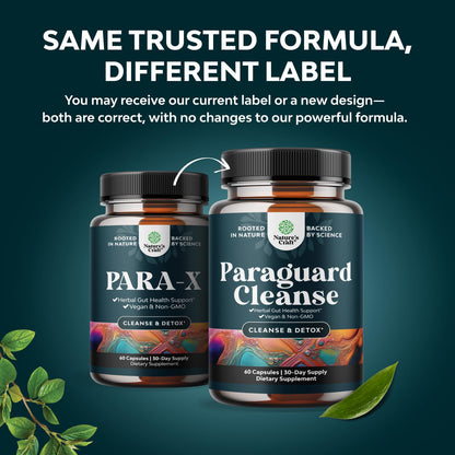 PARA-X Herbal Gut Health Supplement - Immune Support with Black Walnut Wormwood & Cloves - Supports Digestive Health & Gut Health for Women & Men - dailyvitalstore