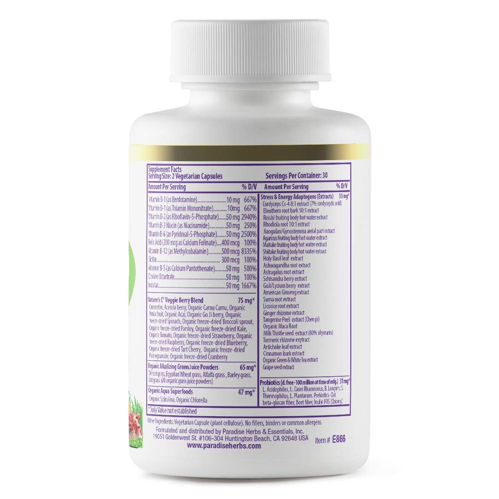Paradise Herbs Earth's Blend Once Daily Multivitamin & B-Complex Bundle - dailyvitalstore