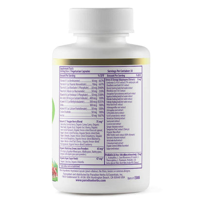 Paradise Herbs Earth's Blend Once Daily Multivitamin & B-Complex Bundle - dailyvitalstore