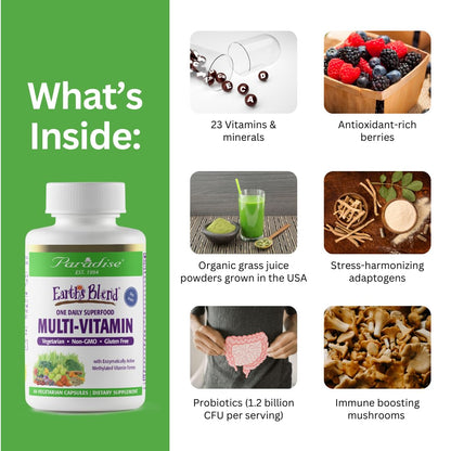 Paradise Herbs Earth's Blend Once Daily Multivitamin & B-Complex Bundle - dailyvitalstore