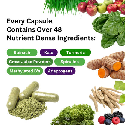 Paradise Herbs Earth's Blend Once Daily Multivitamin & B-Complex Bundle - dailyvitalstore