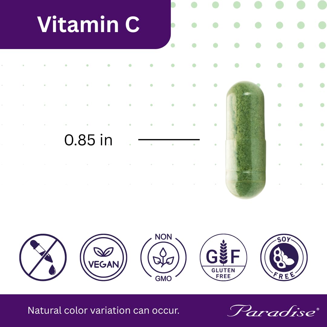 Paradise Herbs Earth's Blend Vitamin C with Nature's C and Adaptogens, Superfoods Base of Probiotics & Organic Alkalizing Greens, 90 Vegetarian Capsules - dailyvitalstore