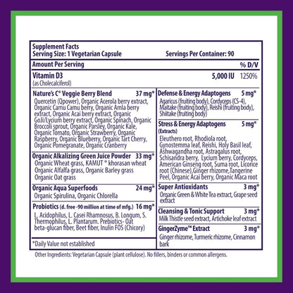Paradise Herbs Earth's Blend Vitamin D3, Superfoods Base of Probiotics and Organic Alkalizing Greens, Veggies & Berries, 90 Vegetarian Capsules - dailyvitalstore