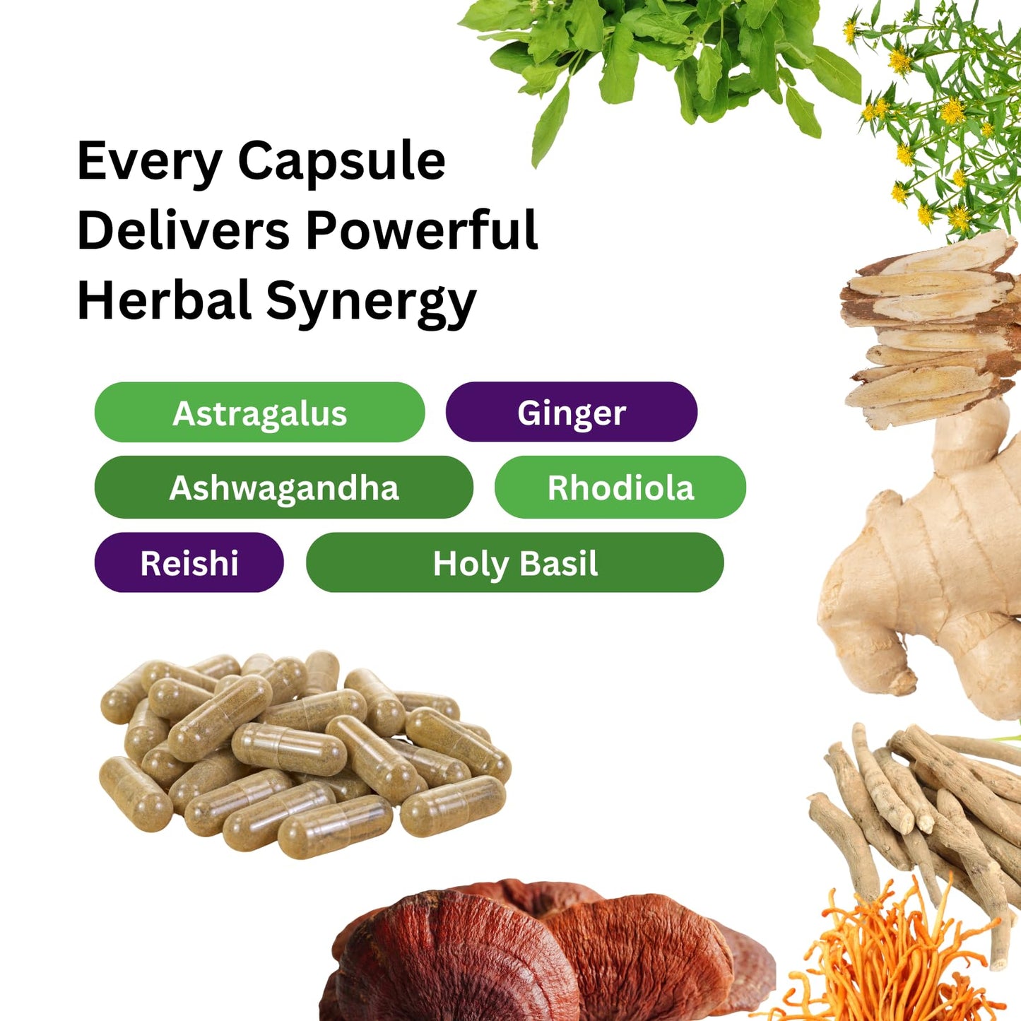 Paradise Herbs, Imperial Adaptogens, with Ashwagandha, Astragalus, Rhodiola, Proprietary Adaptogen Blend for Stress Support, Focus & Energy, 60 Vegetarian Capsules - dailyvitalstore