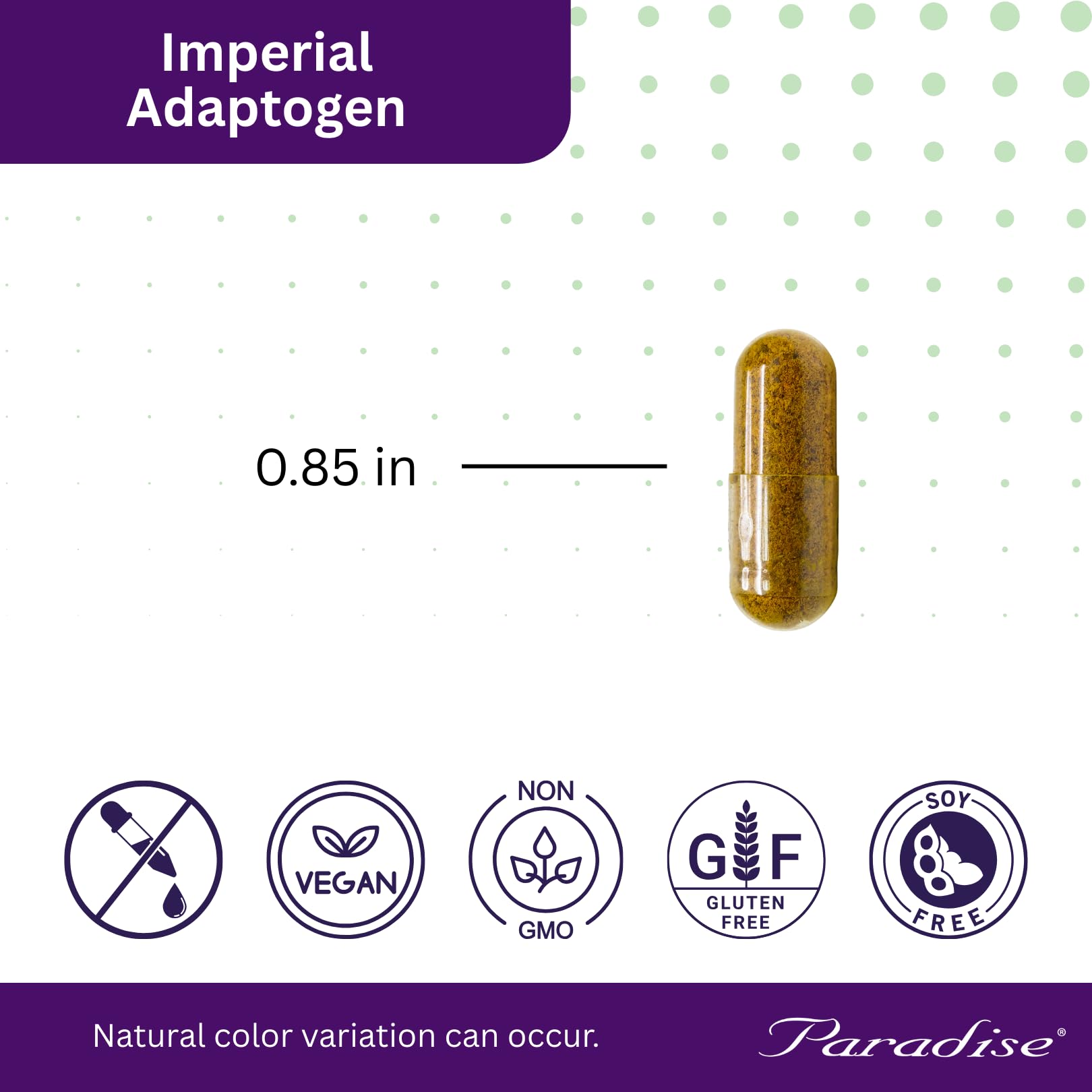 Paradise Herbs, Imperial Adaptogens, with Ashwagandha, Astragalus, Rhodiola, Proprietary Adaptogen Blend for Stress Support, Focus & Energy, 60 Vegetarian Capsules - dailyvitalstore