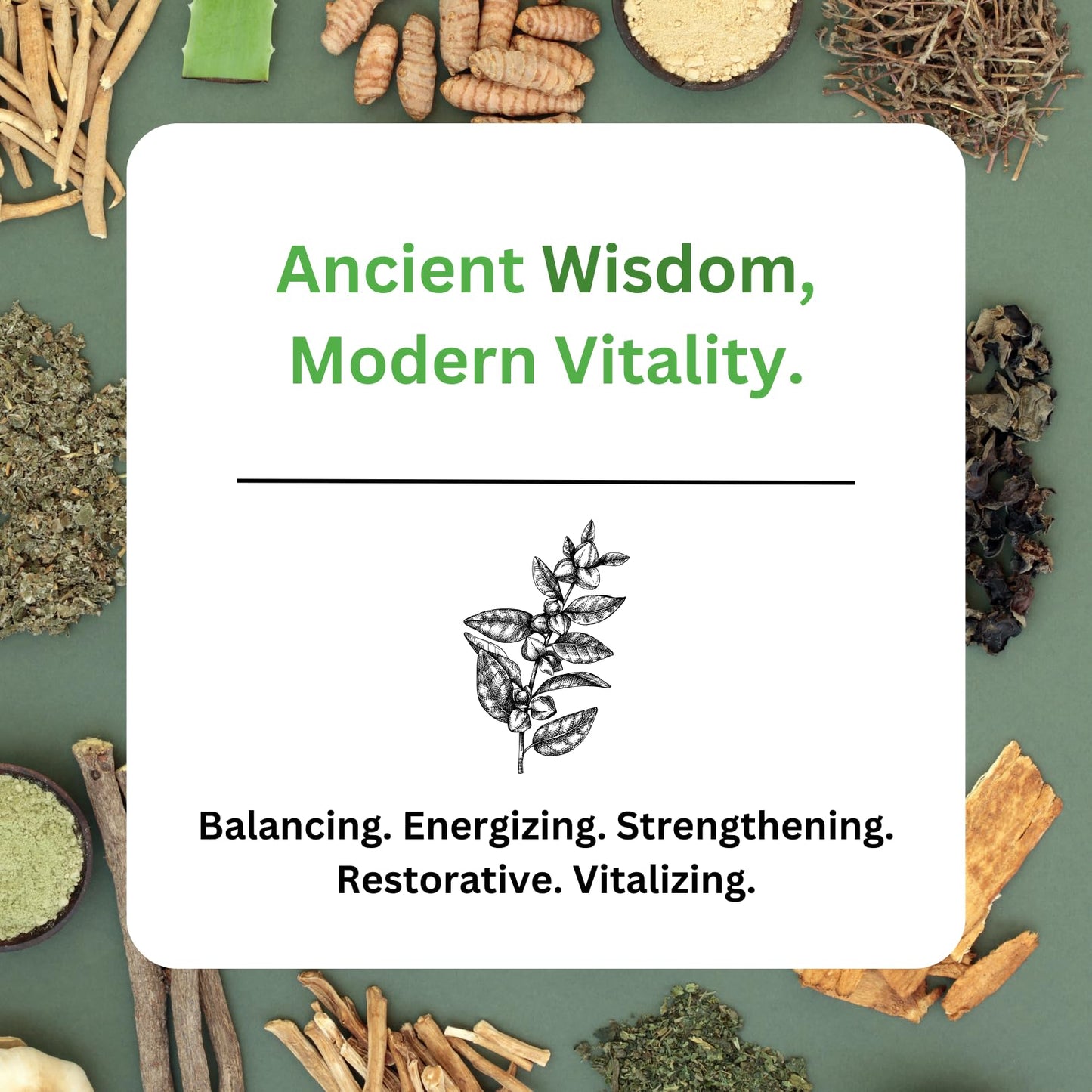 Paradise Herbs, Imperial Adaptogens, with Ashwagandha, Astragalus, Rhodiola, Proprietary Adaptogen Blend for Stress Support, Focus & Energy, 60 Vegetarian Capsules - dailyvitalstore