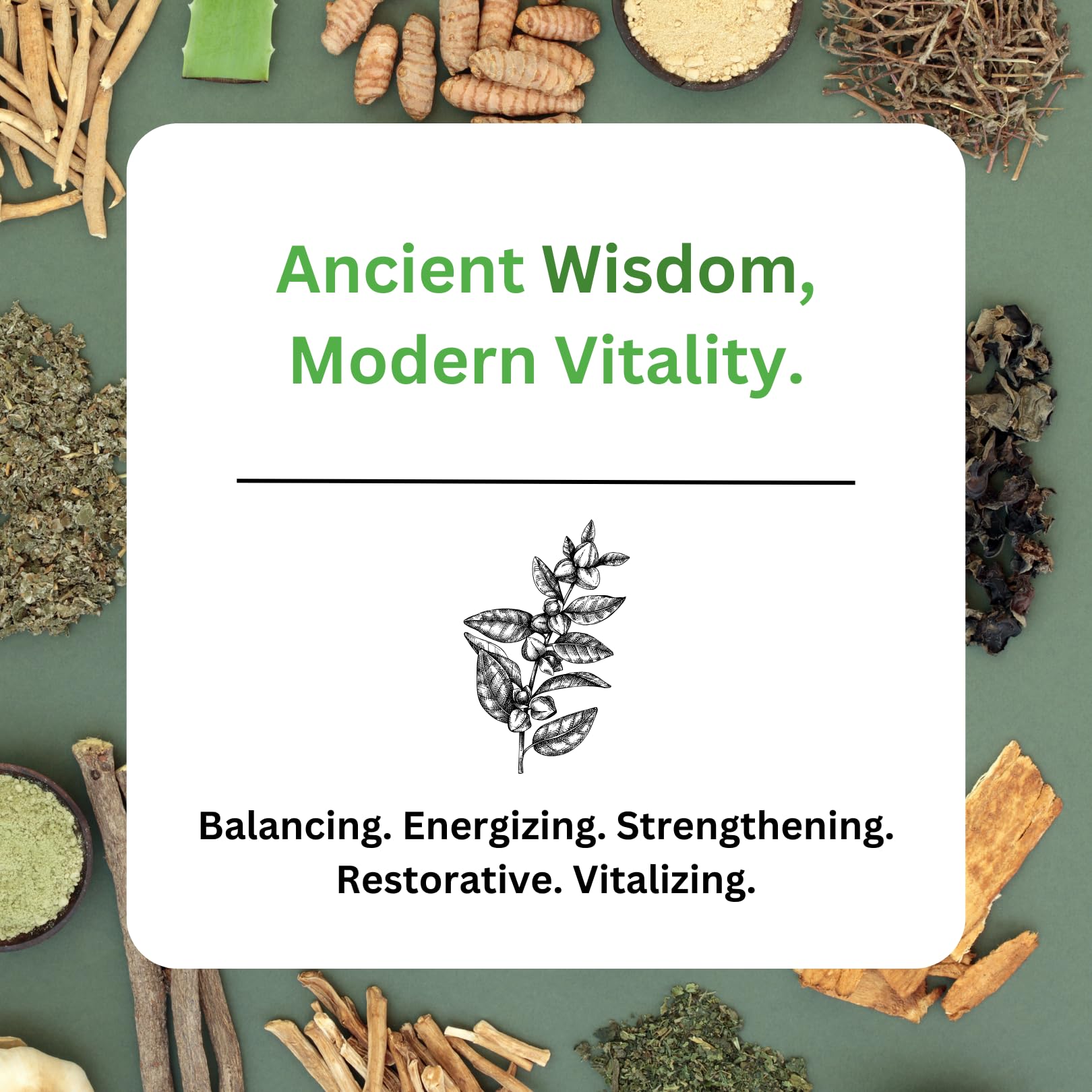 Paradise Herbs, Imperial Adaptogens, with Ashwagandha, Astragalus, Rhodiola, Proprietary Adaptogen Blend for Stress Support, Focus & Energy, 60 Vegetarian Capsules - dailyvitalstore
