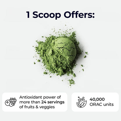 Paradise, ORAC Energy Greens Powder Extract, Super Antioxidants, Probiotics for Gut Health & Digestion, Vitamin C for Immunity, with Spirulina & Chlorella, Non-GMO, Gluten Free, 30 Servings - dailyvitalstore