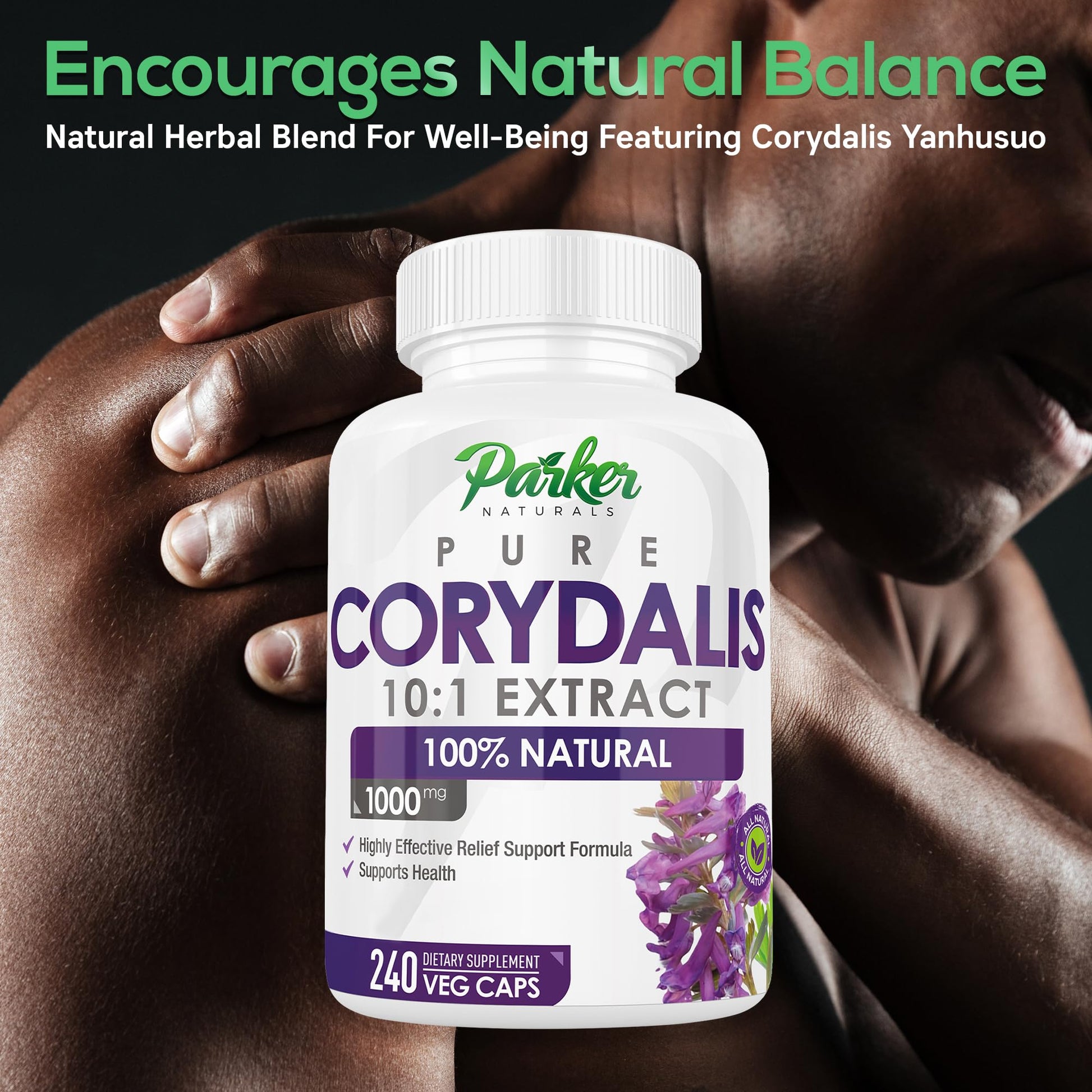 Parker Naturals Pure Corydalis Root Extract Capsule - 1000mg Strength, 10:1 Corydalis Yanhusuo Extract, Natural Relief, Long Lasting, 100% Vegetarian, 120 Servings, 240 Count - dailyvitalstore
