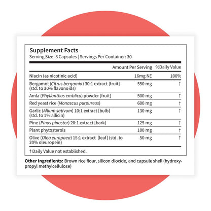 Pattern Wellness Cholesterol Complex Supplement – Supports Overall Well-Being – 3rd Party Lab Tested – 90 Vegan Capsules - dailyvitalstore
