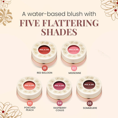 Paul & Joe Gel Blush, Bright and Buildable Blush Makeup, Water-Based Gel Makeup Blush with Hydrating Oils for Dewy, Radiant Finish, Garnet and Wine Red Cheek Tint, 05 Sommeliere, 0.71 oz - dailyvitalstore