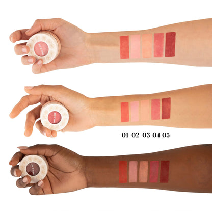 Paul & Joe Gel Blush, Bright and Buildable Blush Makeup, Water-Based Gel Makeup Blush with Hydrating Oils for Dewy, Radiant Finish, Garnet and Wine Red Cheek Tint, 05 Sommeliere, 0.71 oz - dailyvitalstore