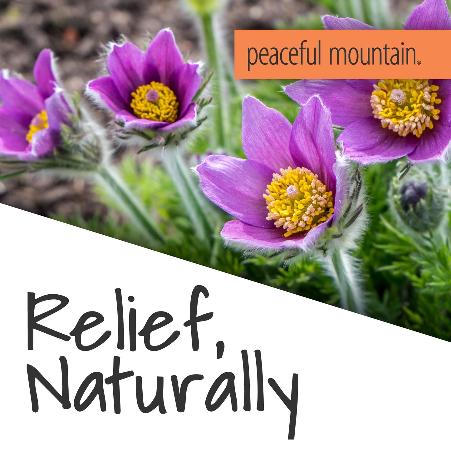 Peaceful Mountain Muscle Rescue Homeopathic Gel - for Muscle discomfort with Arnica and Comfrey - 2oz - dailyvitalstore