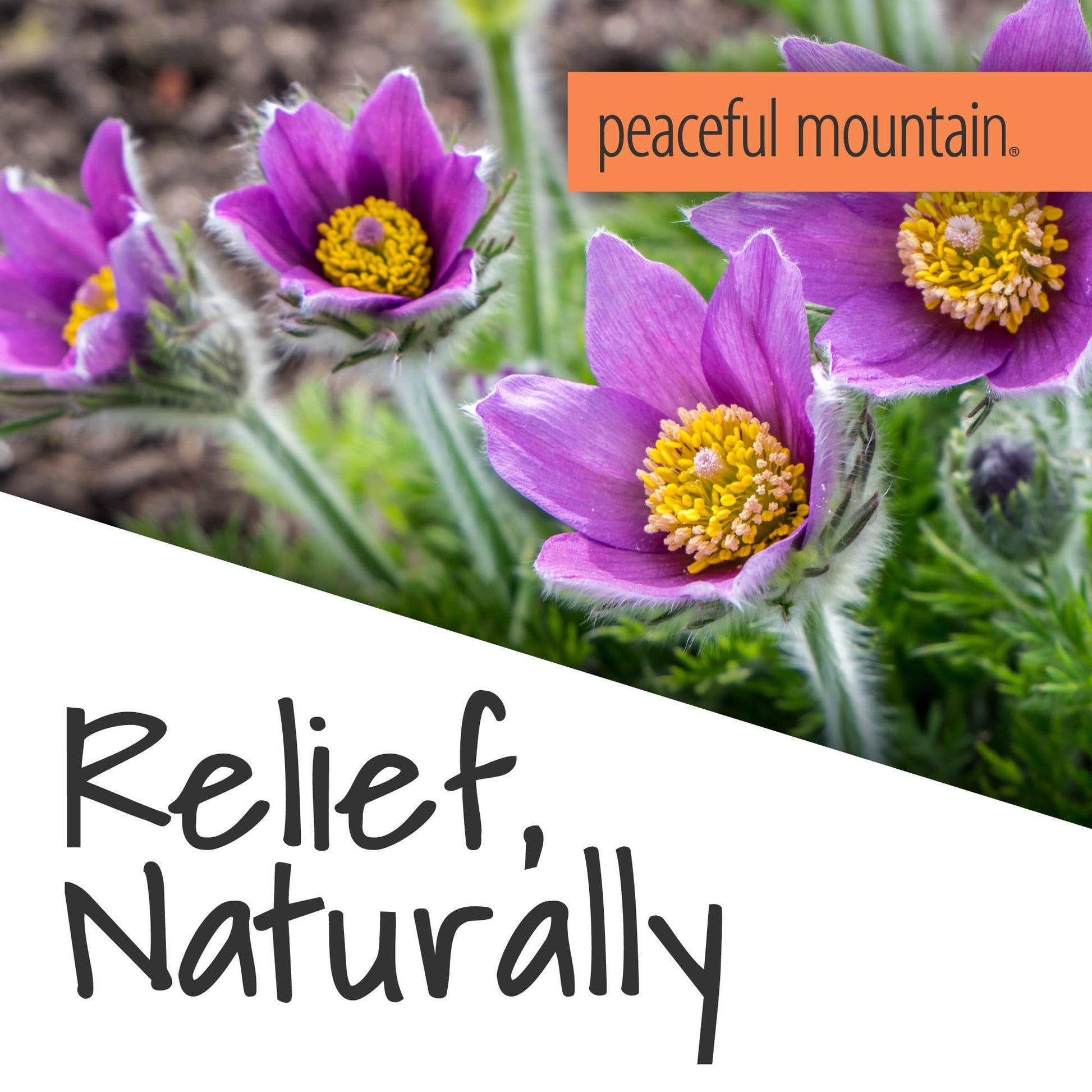 Peaceful Mountain Muscle Rescue Homeopathic Gel - for Muscle discomfort with Arnica and Comfrey - 2oz - dailyvitalstore