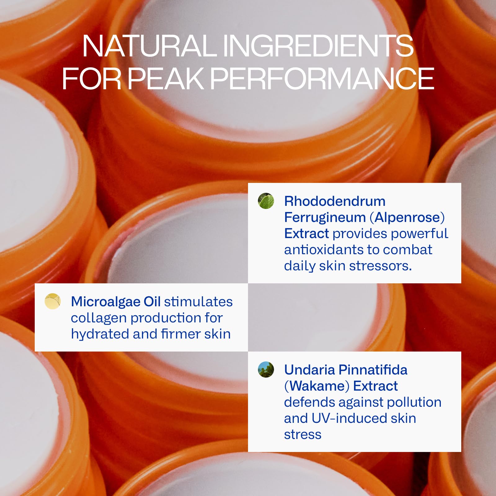 Peak Performance Sun Stick SPF 50 | 100% Mineral Sunscreen | Lightweight, 40-Min Water-Resistant | Plant-Based, Eco-Friendly, Reef-Safe, Cruelty-Free | All Skin Types | 0.70 oz | Pack of 2 - dailyvitalstore
