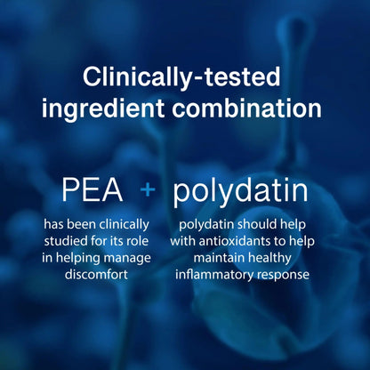 PEAlief Pea + Polydatin – New Bladder & Urinary Comfort Support with Clinically Tested Ingredient Combination — One Pill Per Day, 60 Day Supply - dailyvitalstore