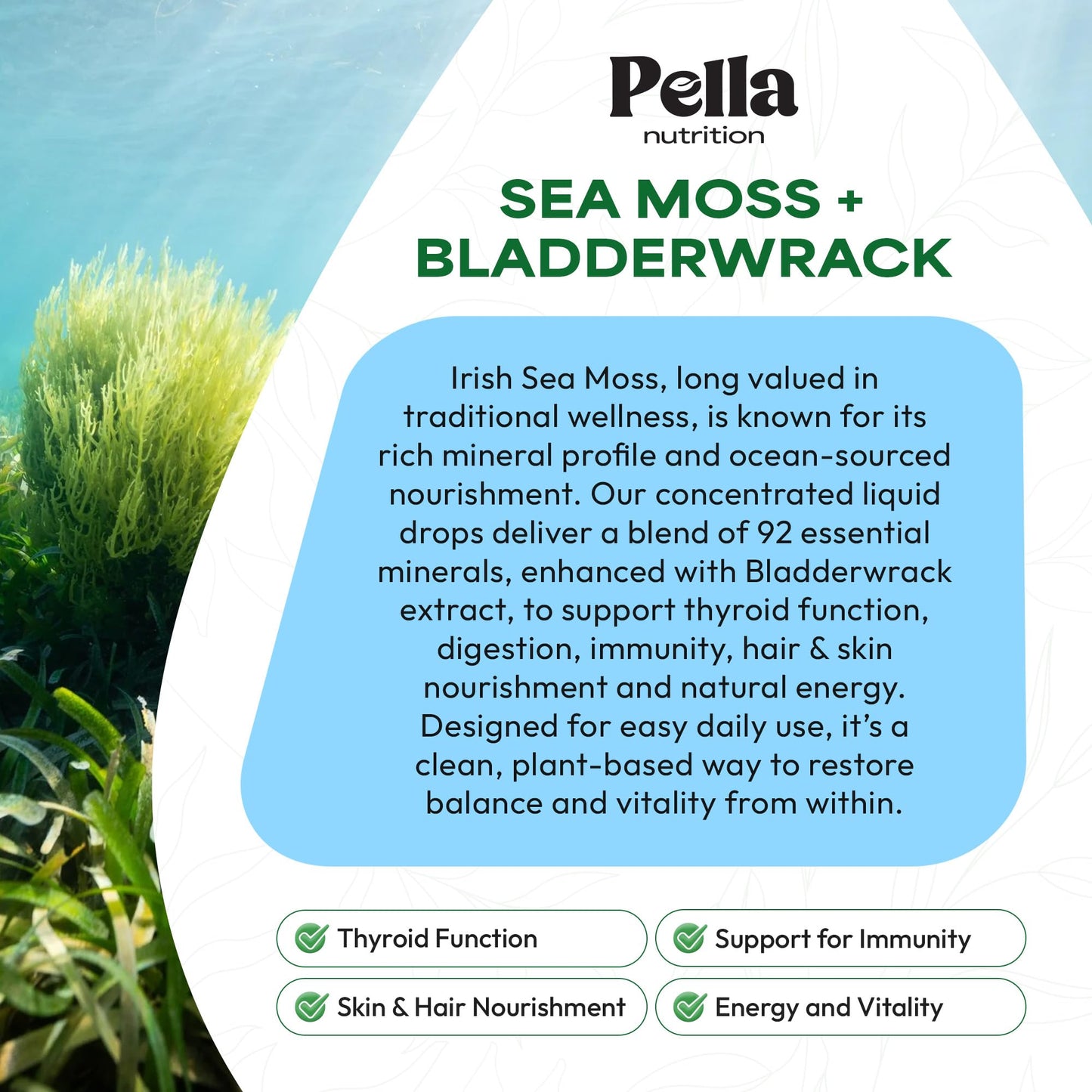 Pella Nutrition Sea Moss Drops with Bladderwrack – 4X Faster Absorption Than Irish Sea Moss Gel Superfood, Gummies, and Capsules – Digestive & Immune Support Supplement (Strawberry Lime, 60mL) - dailyvitalstore