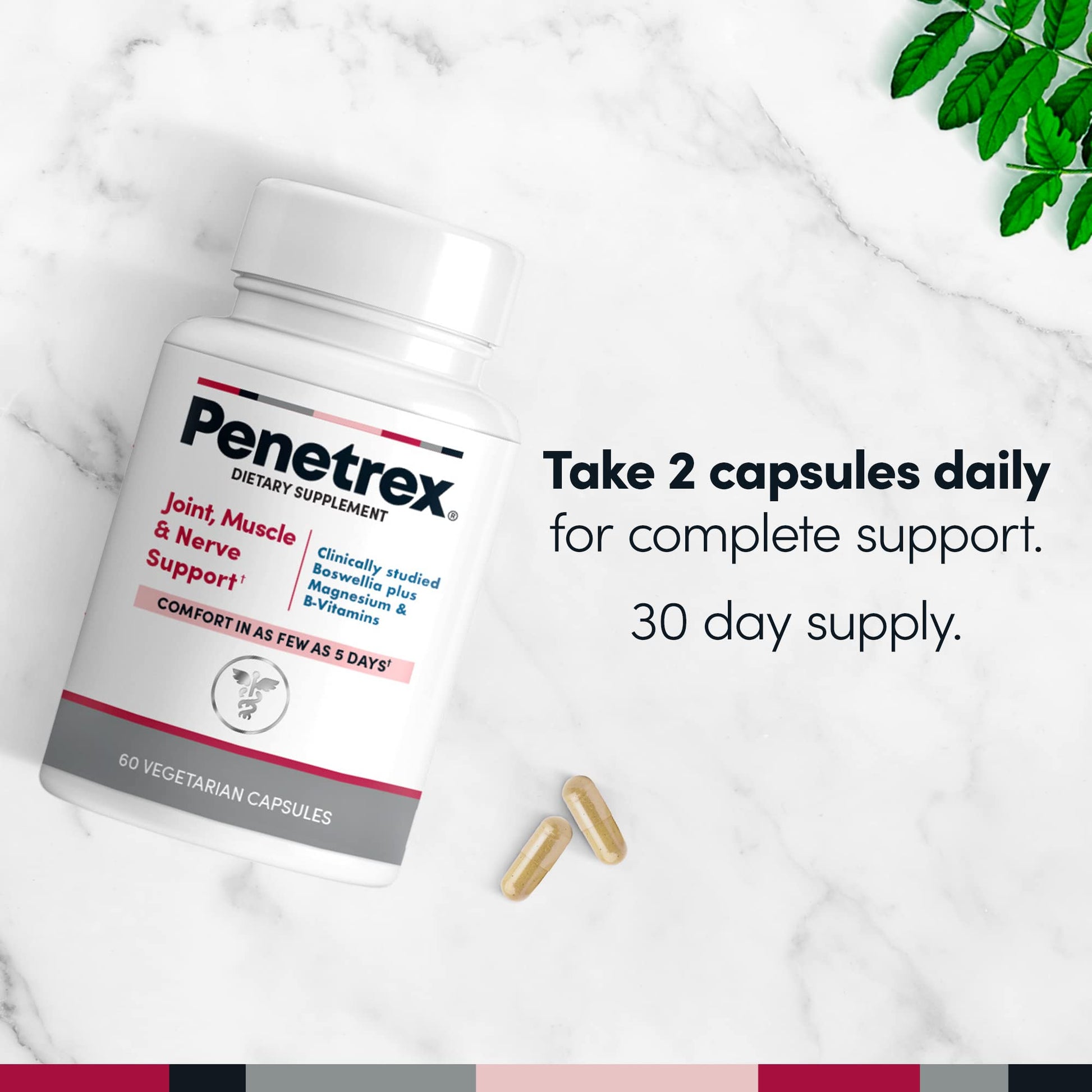 Penetrex Joint, Muscle and Nerve Support Supplement with 3 oz Joint & Muscle Therapy Roll-On Gel - dailyvitalstore