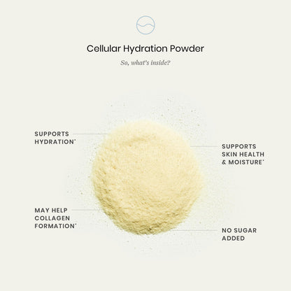 Perelel Hydration Powder, Electrolyte Supplement with Collagen & Hyaluronic Acid, Mango Lemonade Flavor, Soy & Gluten Free, Non GMO, No Added Sugar, 28 Servings - dailyvitalstore