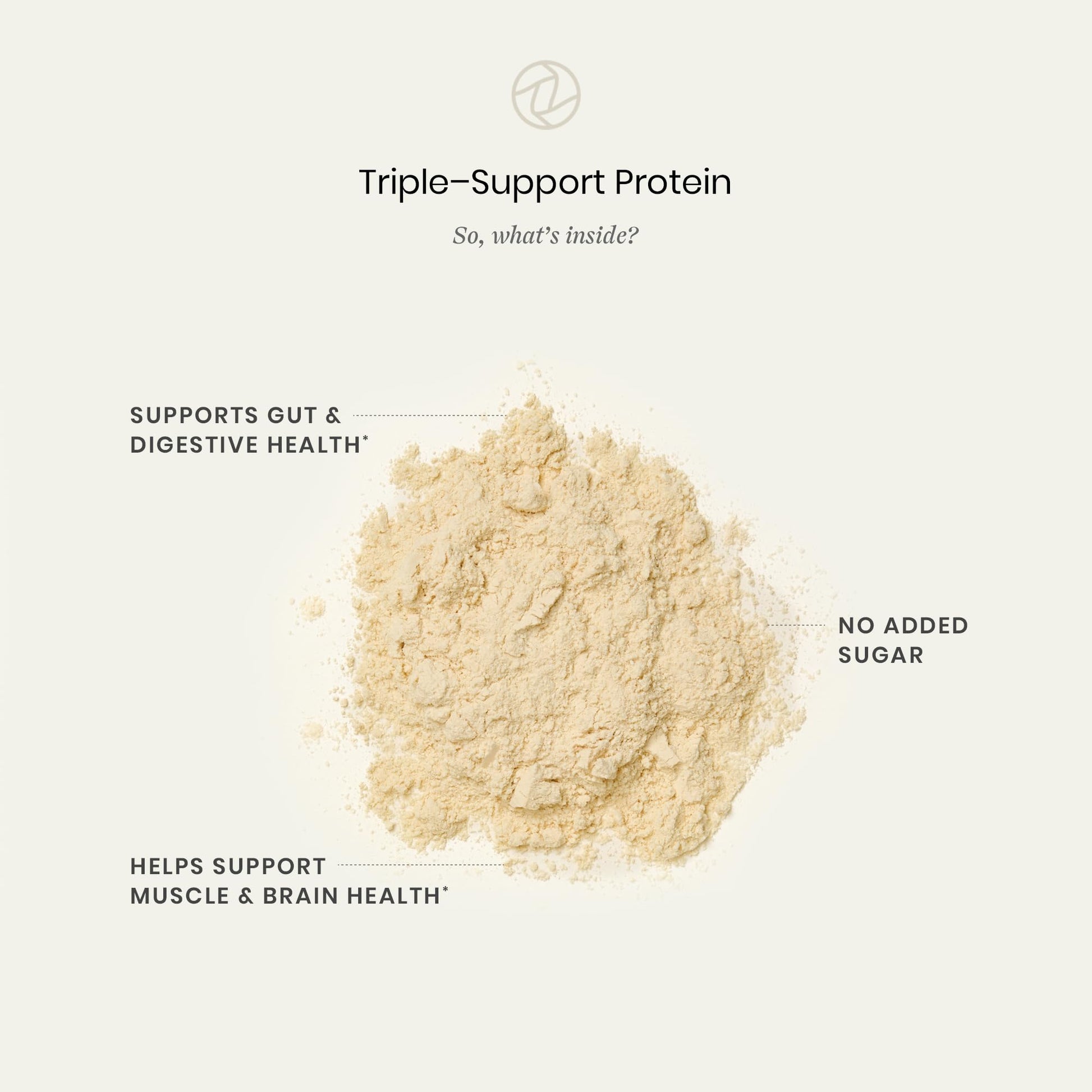 Perelel Triple-Support Plant Based Protein Powder, Creamy Vanilla, 20g Vegan Protein Powder, 3g Creatine Monohydrate, & 5g Prebiotic Fiber per Serving, Dairy Free, - dailyvitalstore