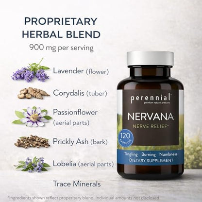 Perennial Nervana – Herbal Nerve Support for Tingling, Burning & Numbness Relief – Promotes Calm Focus & Stress Resilience – Non-Drowsy Mood Balance – 120ct* - dailyvitalstore