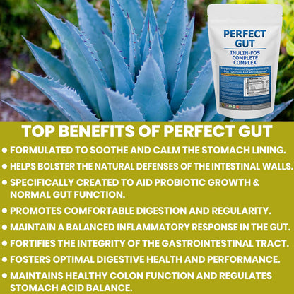 Perfect Gut: Inulin FOS Powder for Gut Health. Prebiotic Inulin. Unique Prebiotic 95% FOS Inulin Agave Fiber - dailyvitalstore