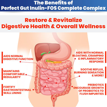 Perfect Gut: Inulin FOS Powder for Gut Health. Prebiotic Inulin. Unique Prebiotic 95% FOS Inulin Agave Fiber - dailyvitalstore