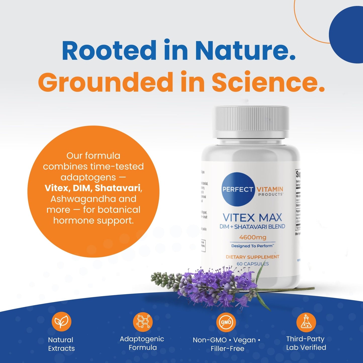 Perfect Vitamin Products Vitex Max DIM + Shatavari – Hormone Balance & Menopause Support for Women – Vegan Blend with Adaptogens for Mood, Cycle & Stress Relief – 4600mg (3-Pack) - dailyvitalstore