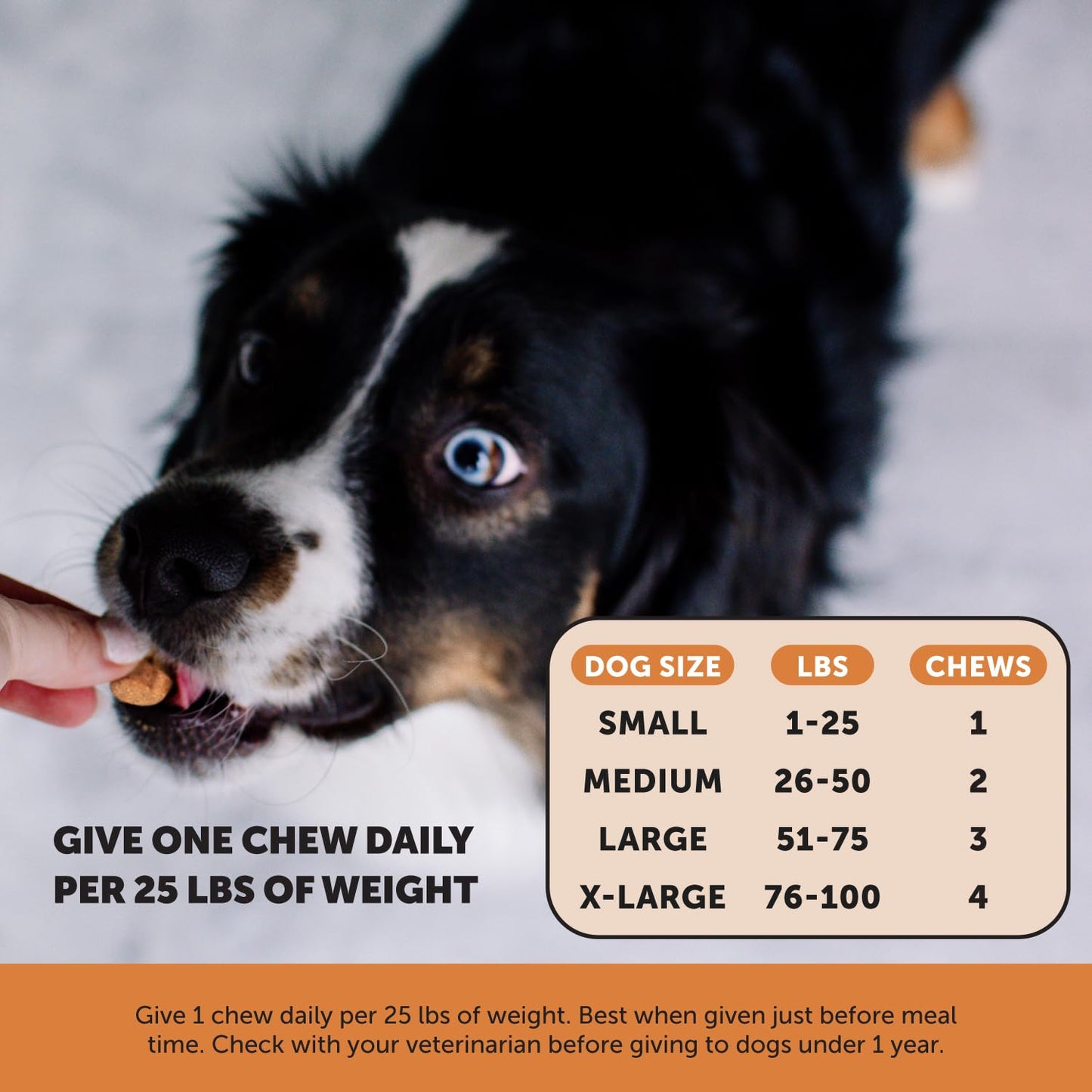Pet Honesty Hip & Joint Health Max Strength – Dog Joint Support Chews with Glucosamine Chondroitin & Omega-3s – Joint Supplement for Dogs to Support Mobility, Flexibility & Comfort – Bacon (90 ct) - dailyvitalstore