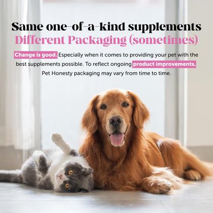 Pet Honesty Hip & Joint Health Max Strength – Dog Joint Support Chews with Glucosamine Chondroitin & Omega-3s – Joint Supplement for Dogs to Support Mobility, Flexibility & Comfort – Bacon (90 ct) - dailyvitalstore