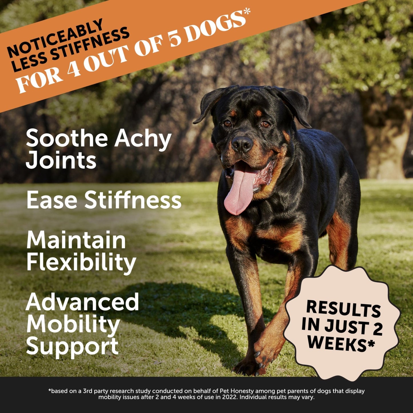 Pet Honesty Hip & Joint Health Max Strength – Dog Joint Support Chews with Glucosamine Chondroitin & Omega-3s – Joint Supplement for Dogs to Support Mobility, Flexibility & Comfort – Bacon (90 ct) - dailyvitalstore