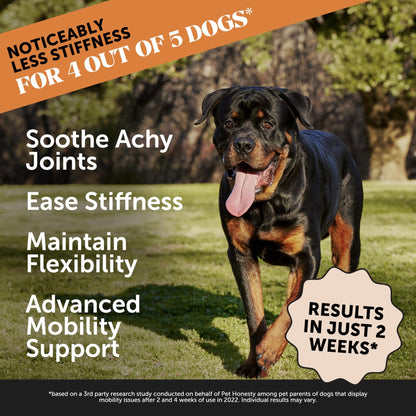 Pet Honesty Hip & Joint Health Max Strength – Dog Joint Support Chews with Glucosamine Chondroitin & Omega-3s – Joint Supplement for Dogs to Support Mobility, Flexibility & Comfort – Bacon (90 ct) - dailyvitalstore