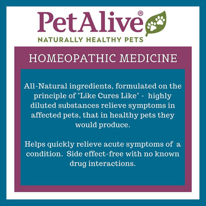PetAlive Muscle and Joint Support-M - Natural Homeopathic Formula for Joint Pain and Stiffness in Pets - Supports Joint Health and Movement in Dogs and Cats - 59 mL - dailyvitalstore