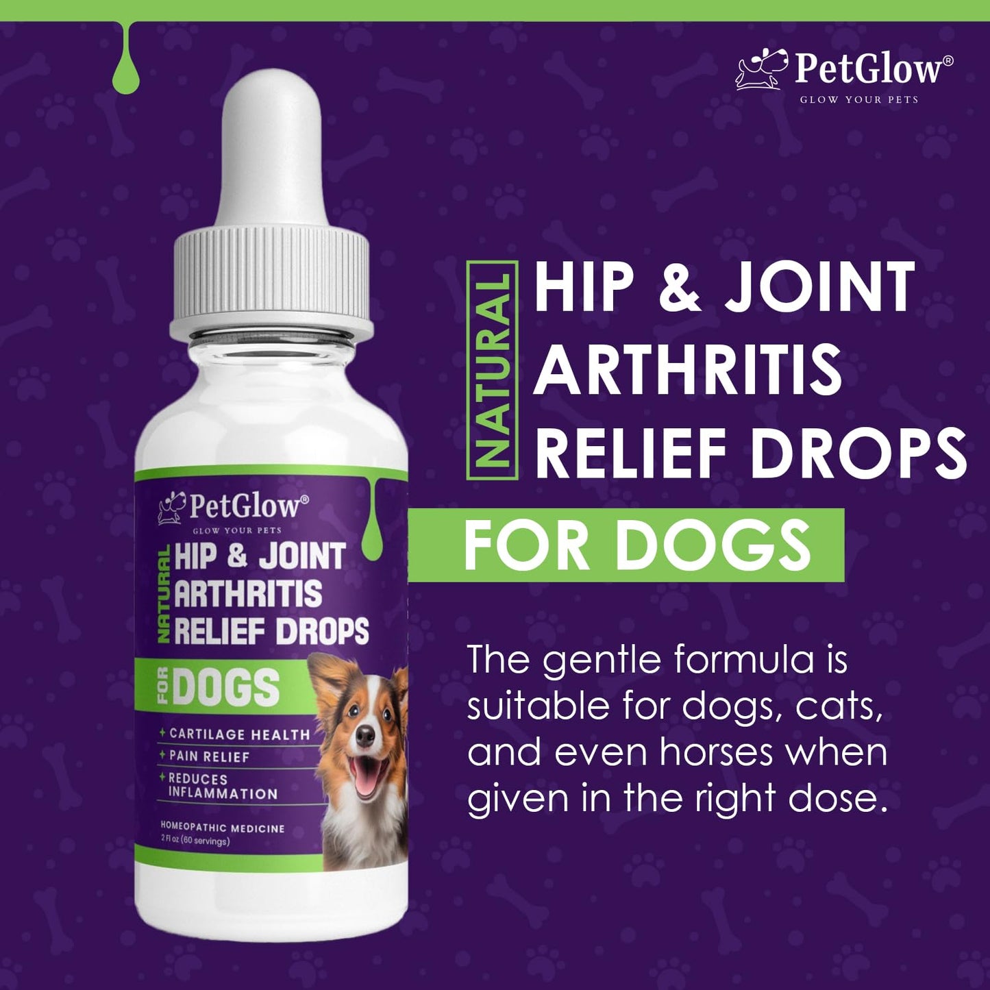 Petglow® Natural Hip & Joint Arthritis Relief Drops with Curcumin & Boswellia, Homeopathic Anti-Inflammatory Formula for Dogs, Cats & Horses, Supports Flexibility, Comfort & Mobility Naturally - dailyvitalstore