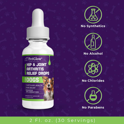 Petglow® Natural Hip & Joint Arthritis Relief Drops with Curcumin & Boswellia, Homeopathic Anti-Inflammatory Formula for Dogs, Cats & Horses, Supports Flexibility, Comfort & Mobility Naturally - dailyvitalstore